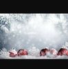 jan_foster